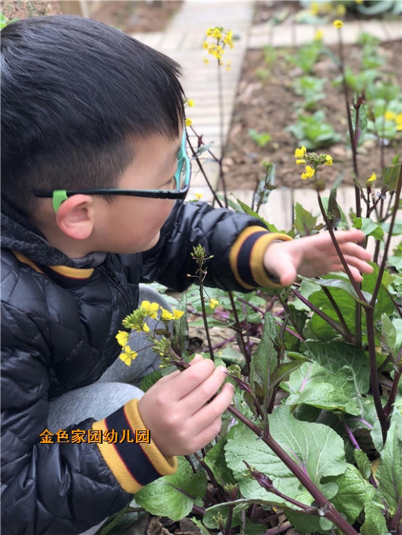 附件：IMG_1292.JPG