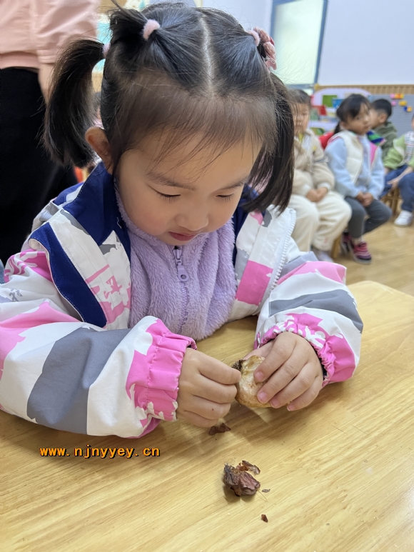 附件：IMG_4537(2).JPG