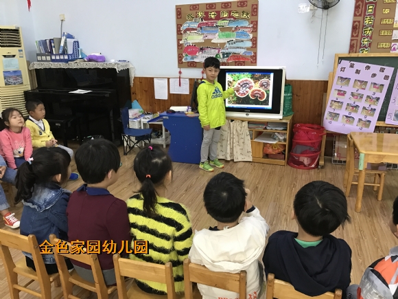 附件：IMG_7155.JPG