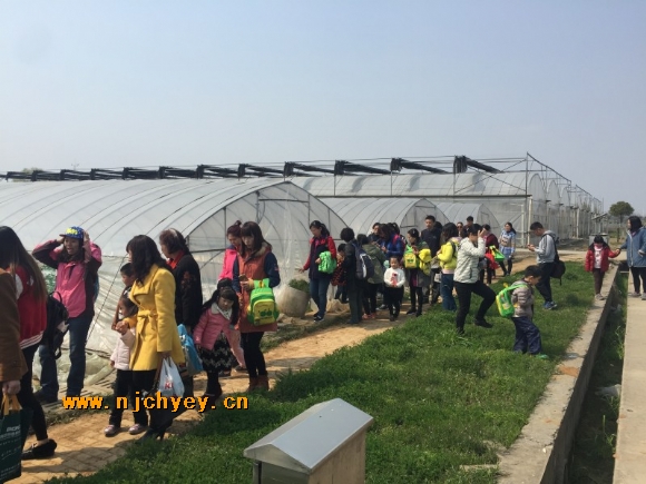 附件：conew_img_0590.jpg