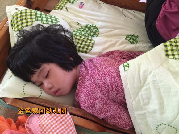 附件：IMG_6884.JPG