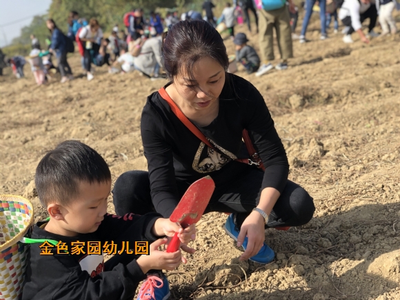 附件：IMG_3437.JPG