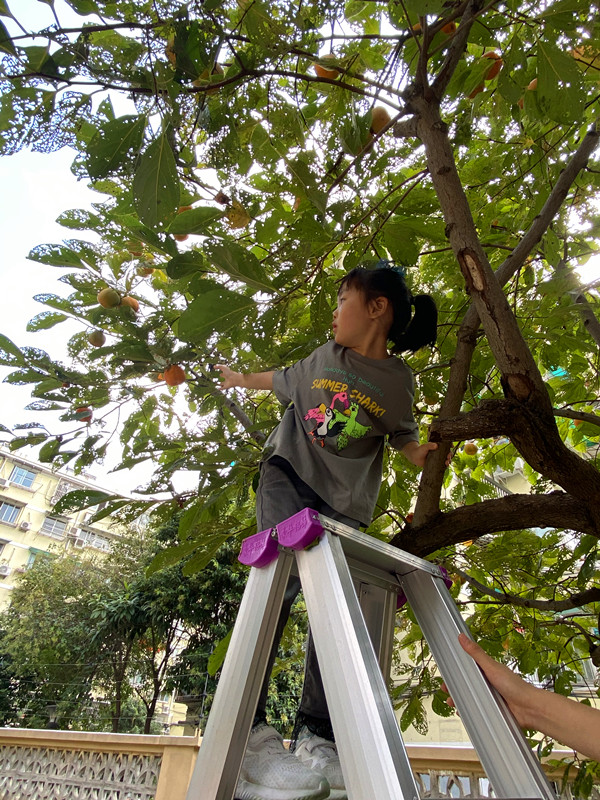 20201029202200092.jpg