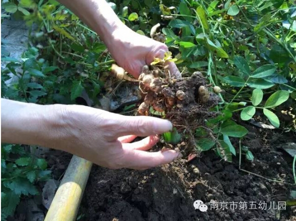 附件：QQ截图20150913000216.jpg