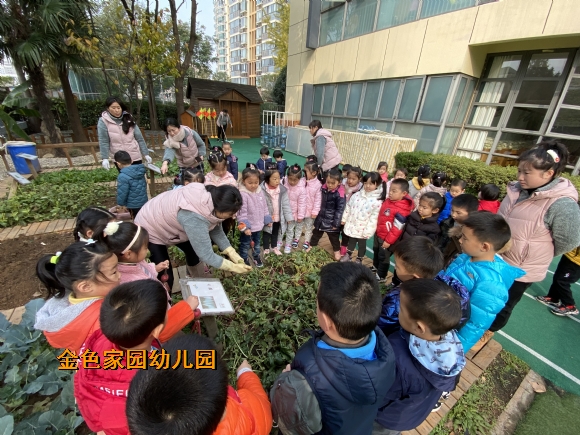 附件：IMG_5383.JPG
