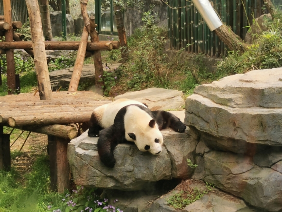 附件：1A0F90E6FEFBE1EEFE56A21322B65222.jpg