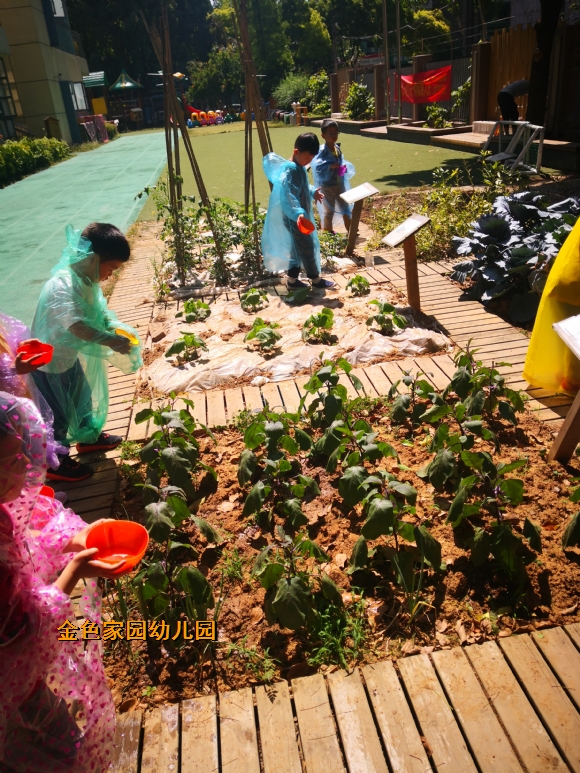 附件：IMG_20190522_095816.jpg