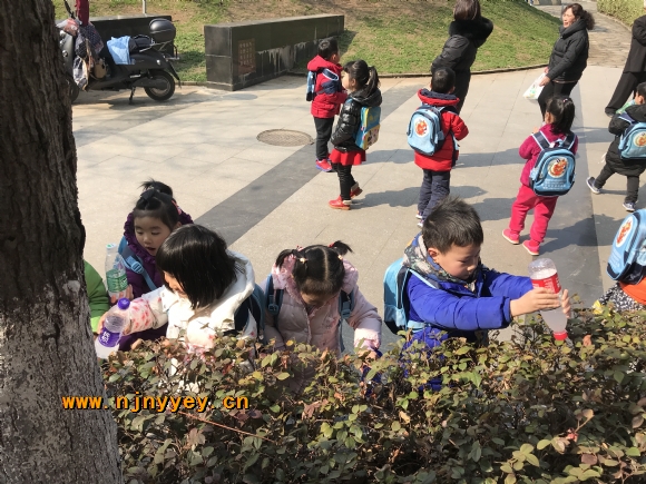 附件：IMG_3353.JPG