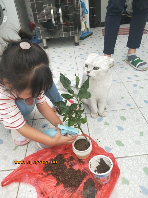 附件：QQ鍥剧墖20181008230118.jpg