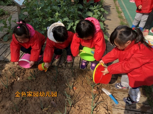 附件：IMG_0503.JPG
