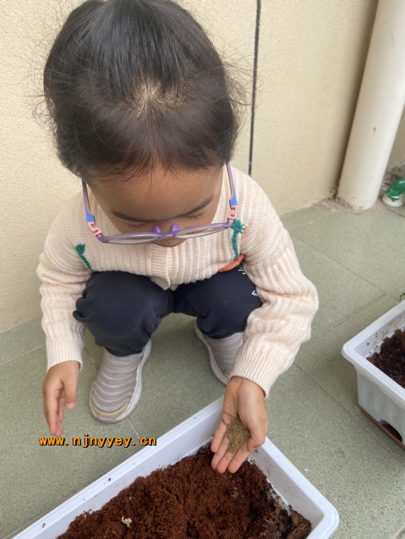 附件：IMG_1181.JPG