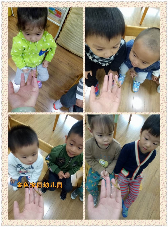 附件：3.jpg