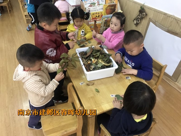 附件：IMG_6145.JPG