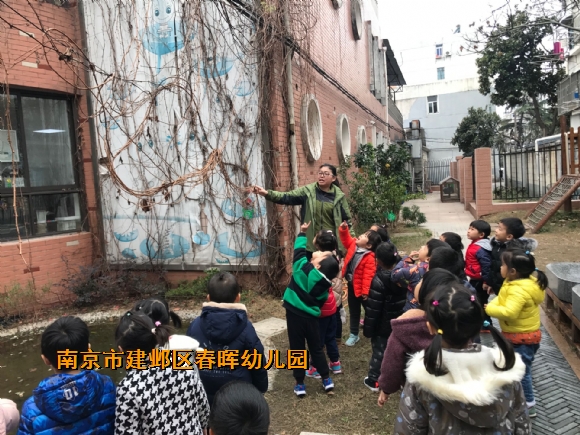 附件：IMG_6791.JPG