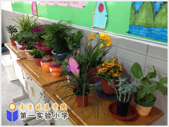 建邺教育信息网