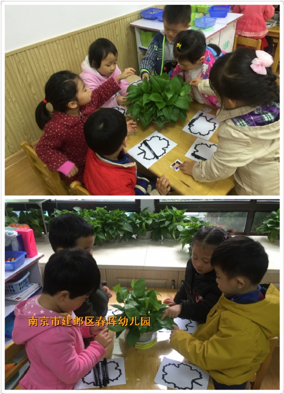 附件：IMG_5054.JPG