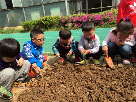 附件：IMG_2869.jpg