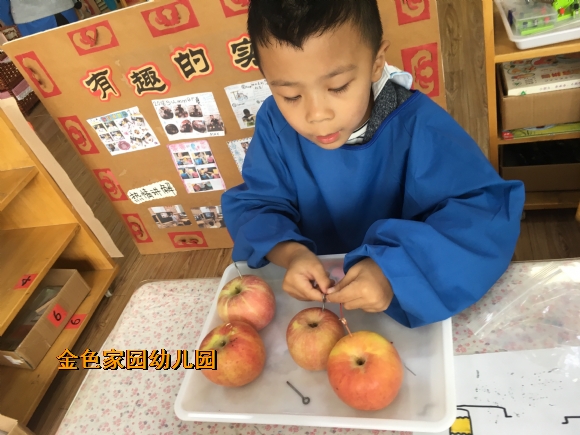 附件：IMG_2661.JPG