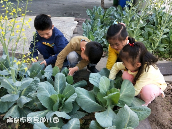 附件：QQ图片20180409161943.jpg