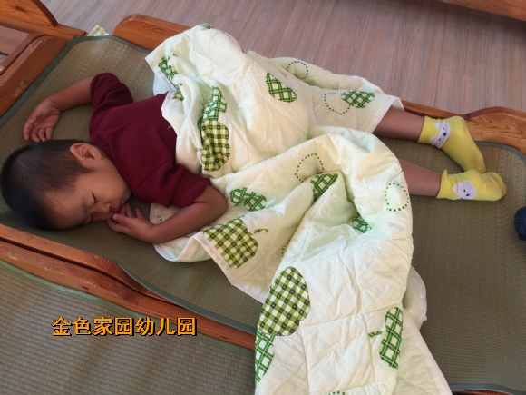 附件：IMG_6881.JPG