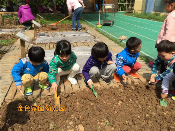 附件：IMG_2868.jpg