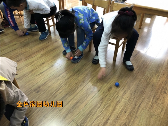 附件：IMG_2868.jpg