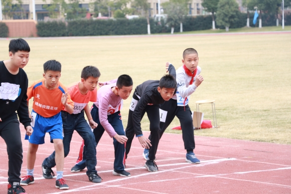 附件：IMG_5502.JPG