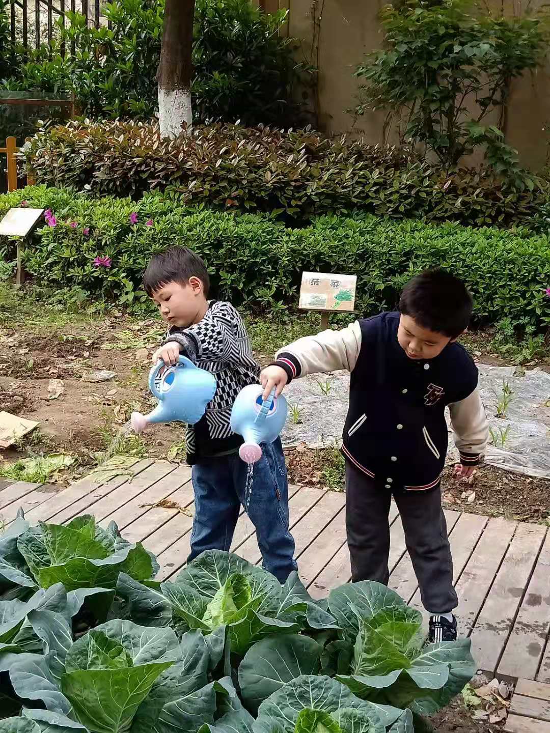 20210508135121037.jpg