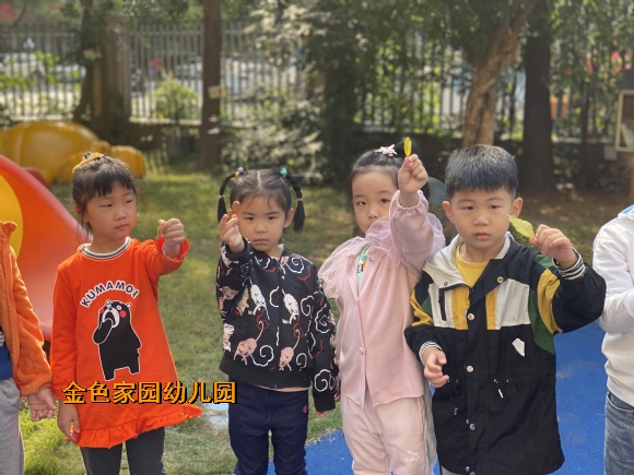 附件：IMG_2208.JPG
