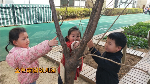 附件：7.jpg