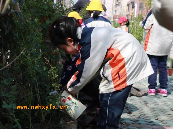 附件：微信图片_20190313083828.jpg