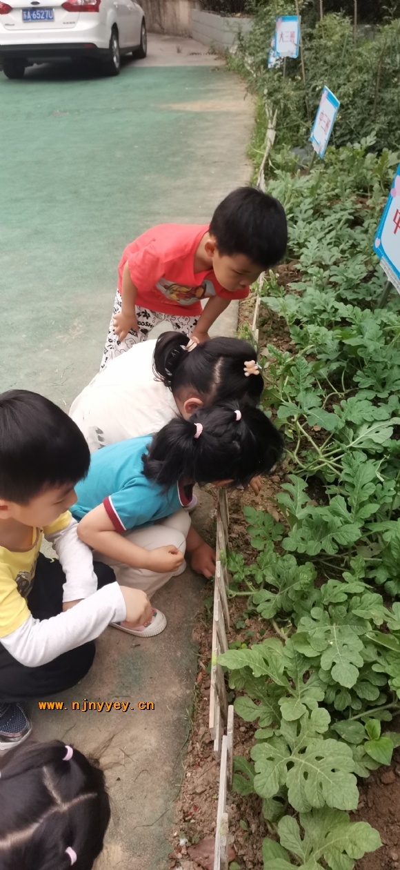 附件：IMG_20210603_102556.jpg.jpg