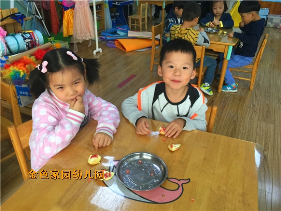 附件：IMG_5086.JPG