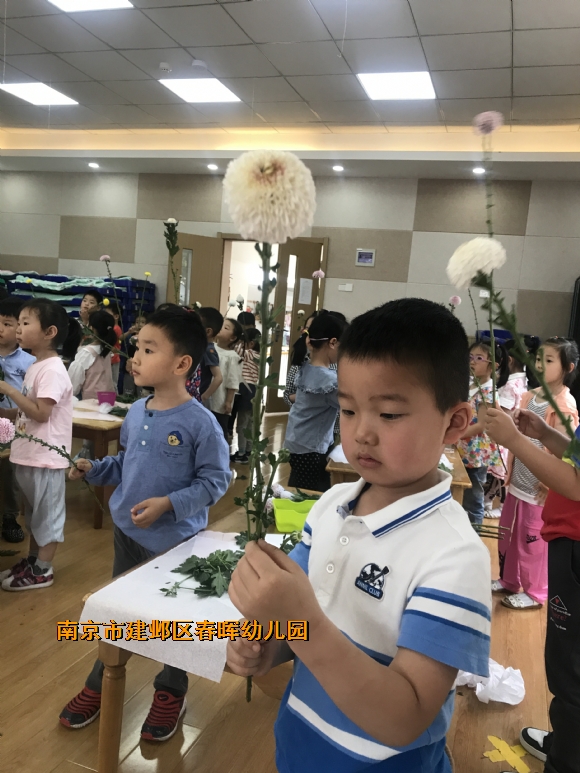附件：IMG_8594.JPG