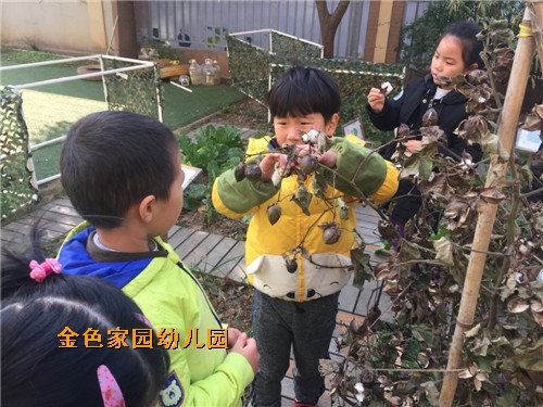 附件：IMG_7911_鍓湰1.jpg