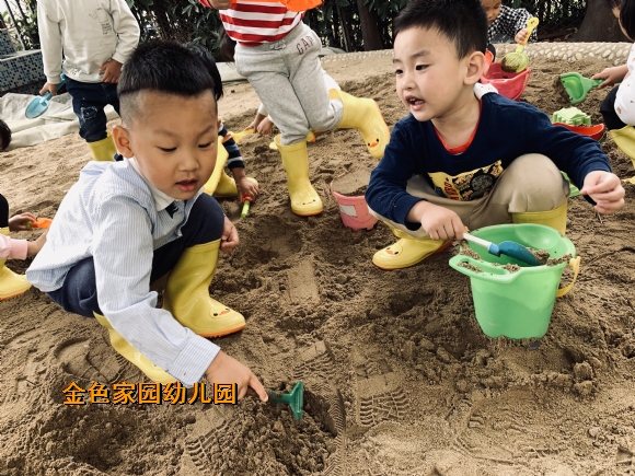 附件：IMG_3947(20191009-135811).jpg