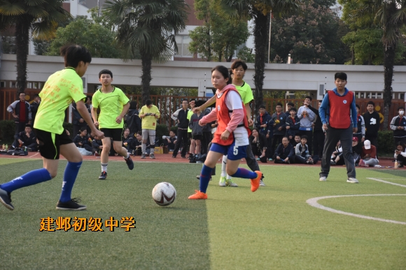 附件：DSC_7324.jpg