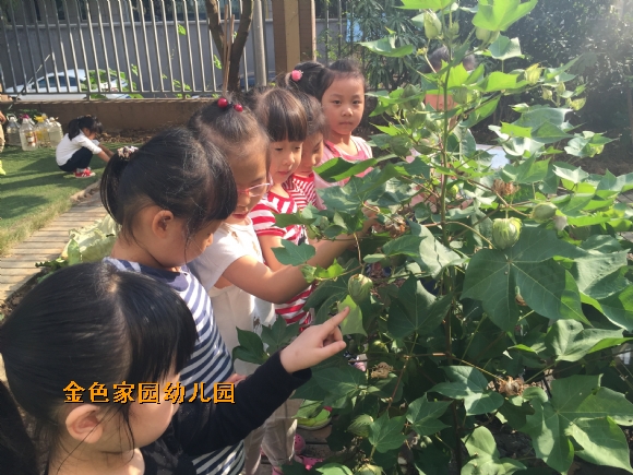 附件：IMG_2529.JPG