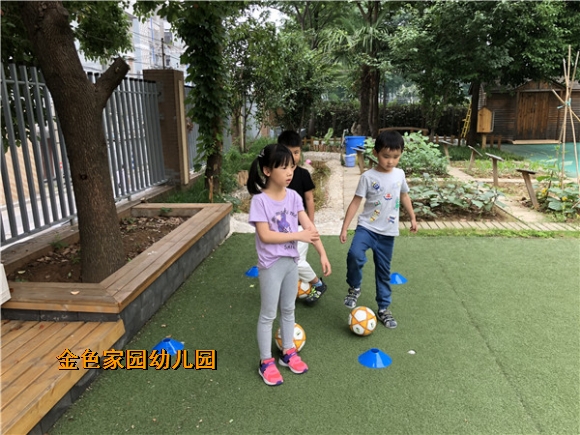 附件：IMG_3362.jpg