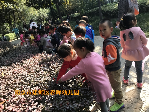 附件：IMG_6333.JPG