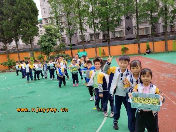 附件：8.jpg