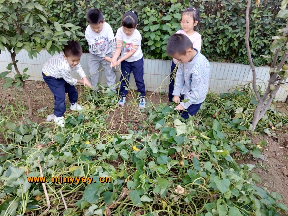 附件：5.jpg