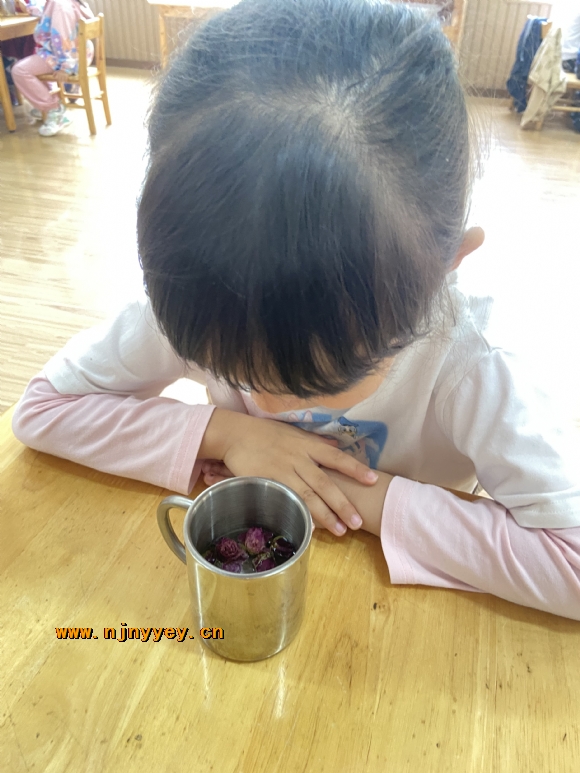 附件：IMG_8531.JPG