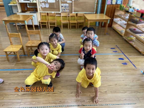 附件：IMG_2217.JPG