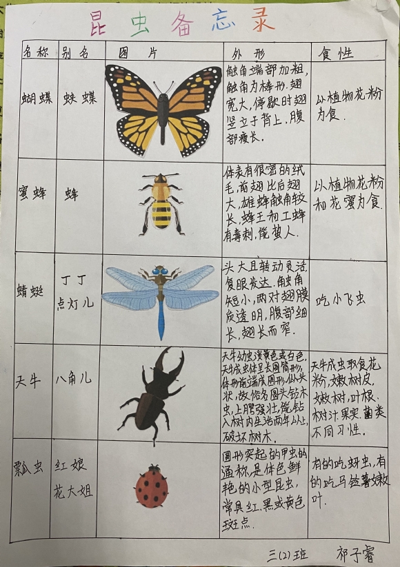 附件：IMG_4613(20200611-162446).JPG