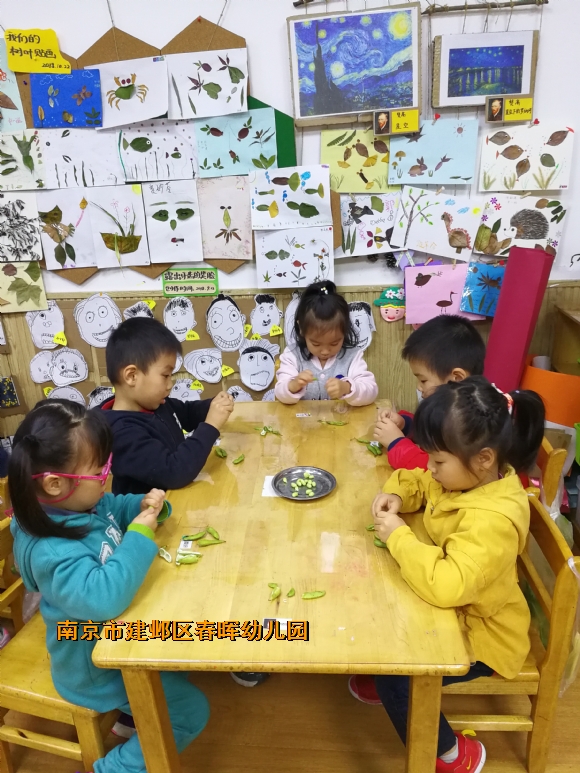 附件：IMG_20181106_154658.jpg