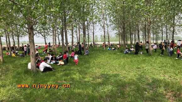 附件：IMG_4532.JPG