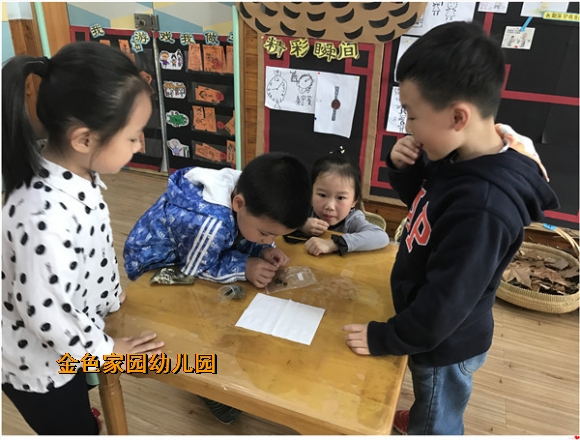 附件：IMG_2427.JPG