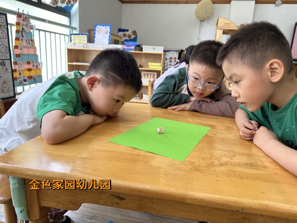 附件:IMG_5718.JPG 附件:IMG_5718.JPG