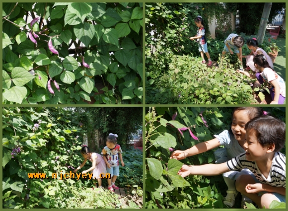 附件：DSC02946_conew1.jpg